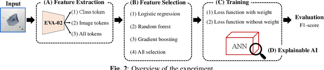 Figure 3 for Towards Improved Cervical Cancer Screening: Vision Transformer-Based Classification and Interpretability