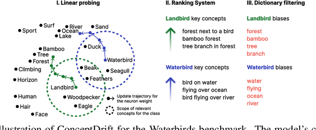 Figure 1 for ConceptDrift: Uncovering Biases through the Lens of Foundational Models