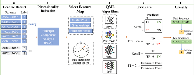 Figure 1 for Modeling Quantum Machine Learning for Genomic Data Analysis
