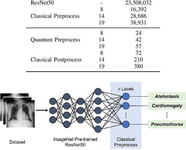 Figure 1 for Expanding the Horizon: Enabling Hybrid Quantum Transfer Learning for Long-Tailed Chest X-Ray Classification