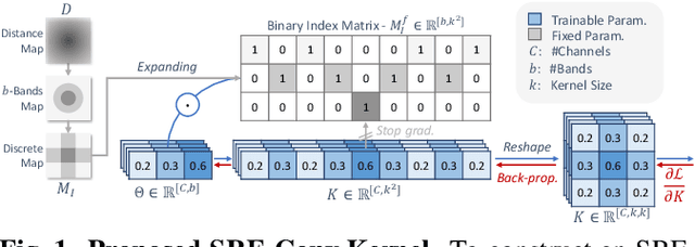 Figure 1 for SRE-Conv: Symmetric Rotation Equivariant Convolution for Biomedical Image Classification