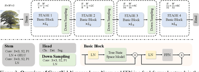 Figure 4 for GrootVL: Tree Topology is All You Need in State Space Model