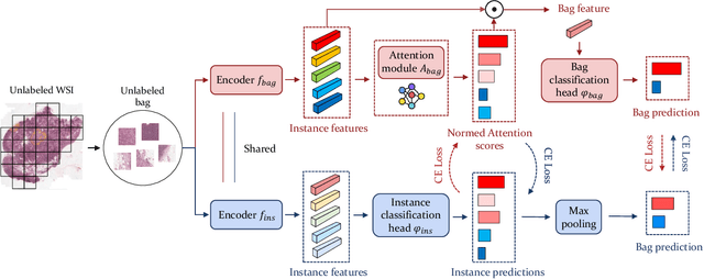 Figure 3 for Weakly Semi-supervised Whole Slide Image Classification by Two-level Cross Consistency Supervision