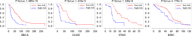 Figure 3 for IPGPhormer: Interpretable Pathology Graph-Transformer for Survival Analysis