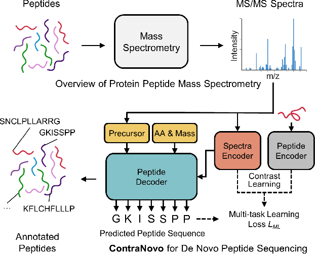 Figure 1 for ContraNovo: A Contrastive Learning Approach to Enhance De Novo Peptide Sequencing
