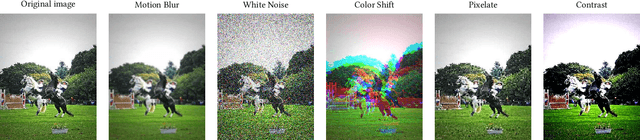 Figure 3 for A probabilistic framework for dynamic quantization