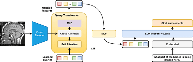 Figure 1 for Fusion of Domain-Adapted Vision and Language Models for Medical Visual Question Answering