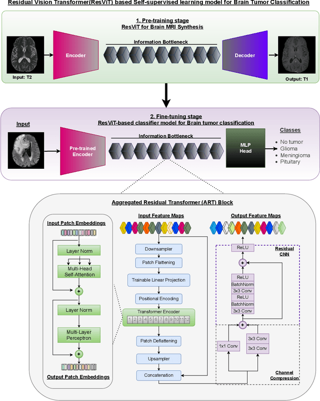 Figure 2 for Residual Vision Transformer (ResViT) Based Self-Supervised Learning Model for Brain Tumor Classification