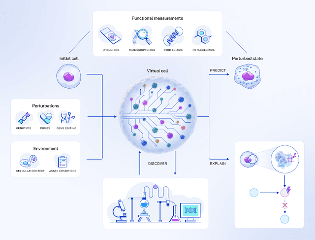 Figure 1 for Virtual Cells: Predict, Explain, Discover