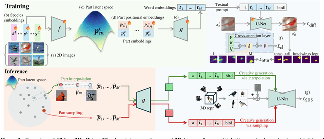 Figure 2 for Chirpy3D: Continuous Part Latents for Creative 3D Bird Generation