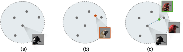 Figure 4 for Chirpy3D: Continuous Part Latents for Creative 3D Bird Generation
