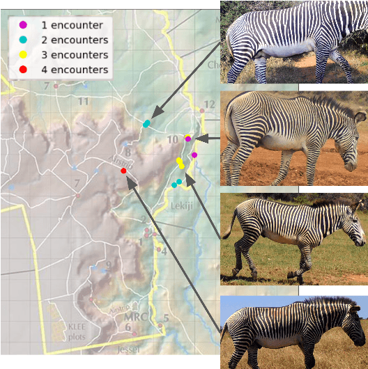 Figure 1 for Adapting the re-ID challenge for static sensors