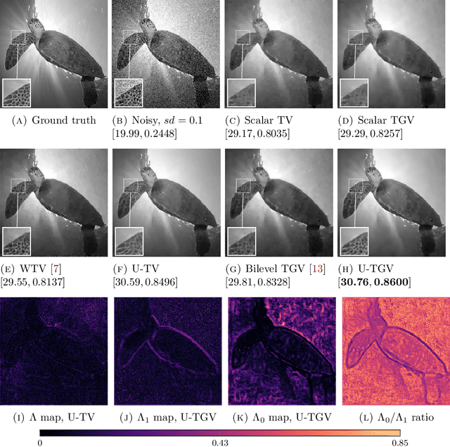 Figure 3 for Deep unrolling for learning optimal spatially varying regularisation parameters for Total Generalised Variation