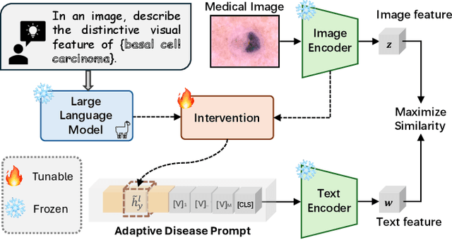 Figure 1 for Medical Knowledge Intervention Prompt Tuning for Medical Image Classification