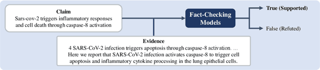Figure 1 for LoraMap: Harnessing the Power of LoRA Connections