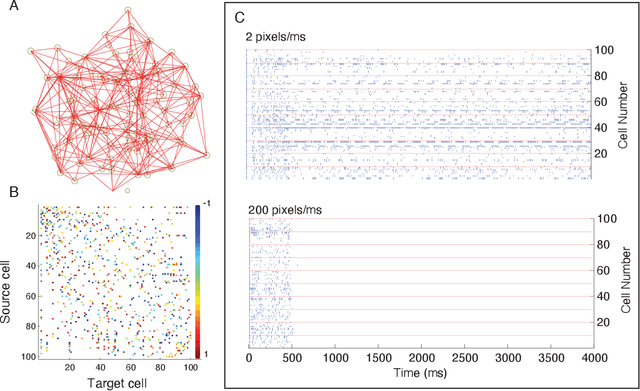 Figure 1 for Using Quantum Computing to Infer Dynamic Behaviors of Biological and Artificial Neural Networks
