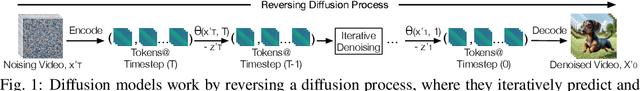 Figure 1 for Astraea: A GPU-Oriented Token-wise Acceleration Framework for Video Diffusion Transformers