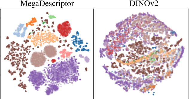 Figure 1 for WildlifeDatasets: An open-source toolkit for animal re-identification
