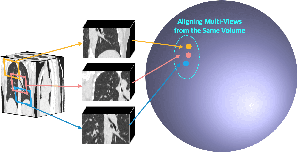 Figure 1 for T3D: Towards 3D Medical Image Understanding through Vision-Language Pre-training
