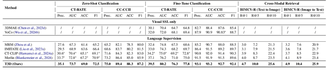 Figure 2 for T3D: Towards 3D Medical Image Understanding through Vision-Language Pre-training