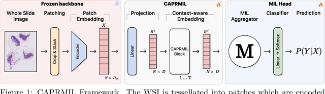 Figure 1 for CAPRMIL: Context-Aware Patch Representations for Multiple Instance Learning