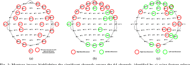 Figure 1 for Quantifying Spatial Domain Explanations in BCI using Earth Mover's Distance