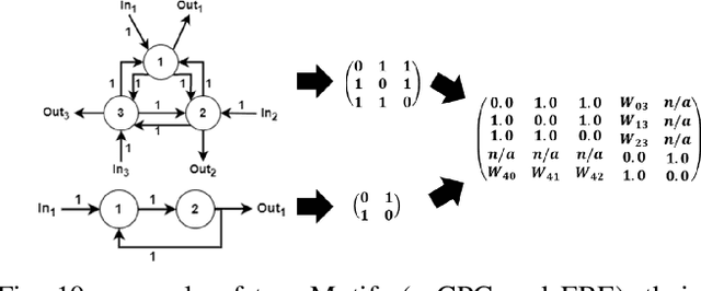 Figure 2 for Artificial Neural Microcircuits as Building Blocks: Concept and Challenges