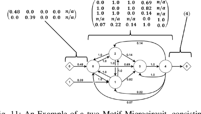 Figure 3 for Artificial Neural Microcircuits as Building Blocks: Concept and Challenges