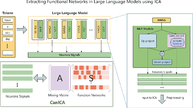 Figure 1 for Pruning Large Language Models by Identifying and Preserving Functional Networks