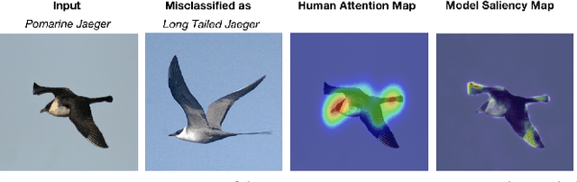 Figure 4 for Demonstration of MaskSearch: Efficiently Querying Image Masks for Machine Learning Workflows