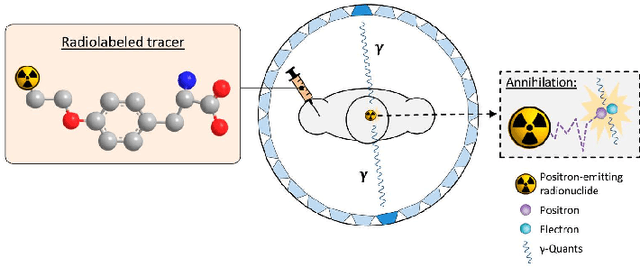 Figure 1 for The study of non-complete-ring positron emission tomography (PET) detection method