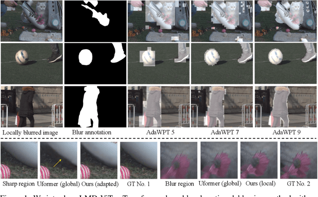 Figure 1 for Adaptive Window Pruning for Efficient Local Motion Deblurring
