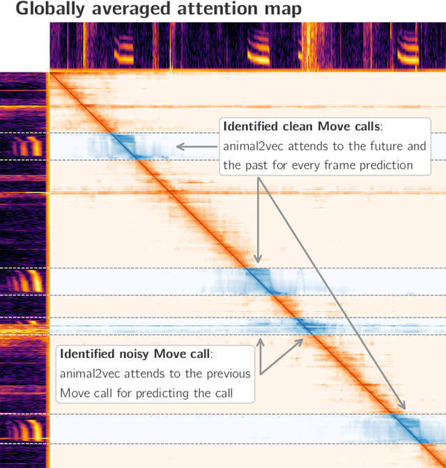 Figure 4 for animal2vec and MeerKAT: A self-supervised transformer for rare-event raw audio input and a large-scale reference dataset for bioacoustics