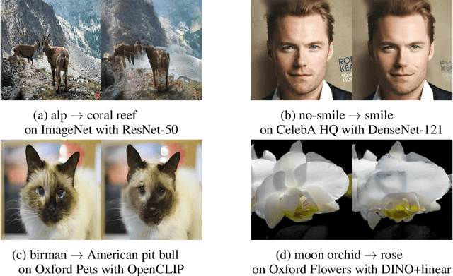Figure 1 for Latent Diffusion Counterfactual Explanations