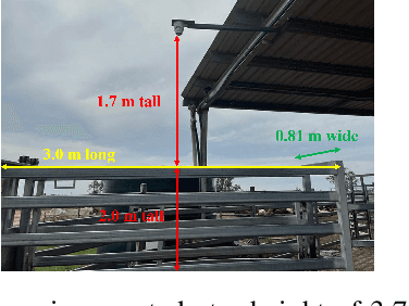 Figure 1 for CattleEyeView: A Multi-task Top-down View Cattle Dataset for Smarter Precision Livestock Farming