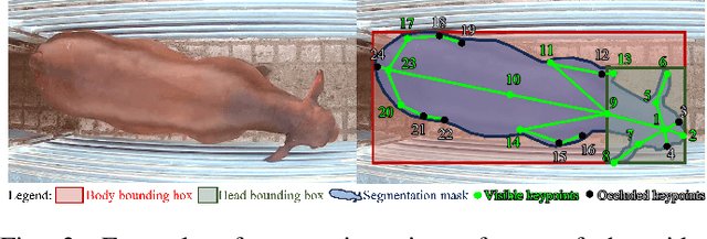 Figure 3 for CattleEyeView: A Multi-task Top-down View Cattle Dataset for Smarter Precision Livestock Farming