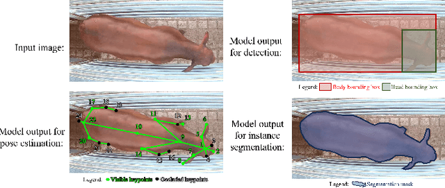 Figure 4 for CattleEyeView: A Multi-task Top-down View Cattle Dataset for Smarter Precision Livestock Farming