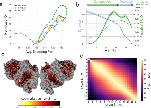 Figure 1 for Evidence from fMRI Supports a Two-Phase Abstraction Process in Language Models