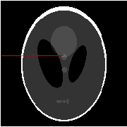 Figure 2 for With or Without Replacement? Improving Confidence in Fourier Imaging