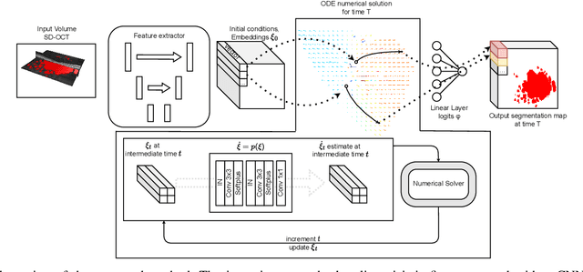 Figure 2 for Learning Spatio-Temporal Model of Disease Progression with NeuralODEs from Longitudinal Volumetric Data