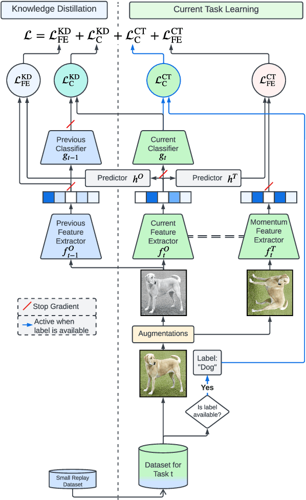 Figure 4 for Practical self-supervised continual learning with continual fine-tuning