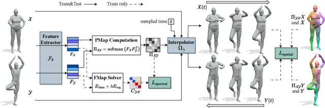 Figure 2 for Spectral Meets Spatial: Harmonising 3D Shape Matching and Interpolation