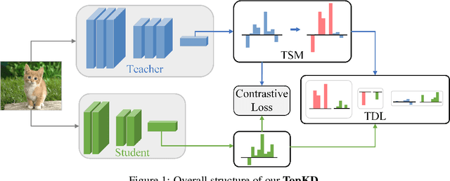 Figure 1 for TopKD: Top-scaled Knowledge Distillation