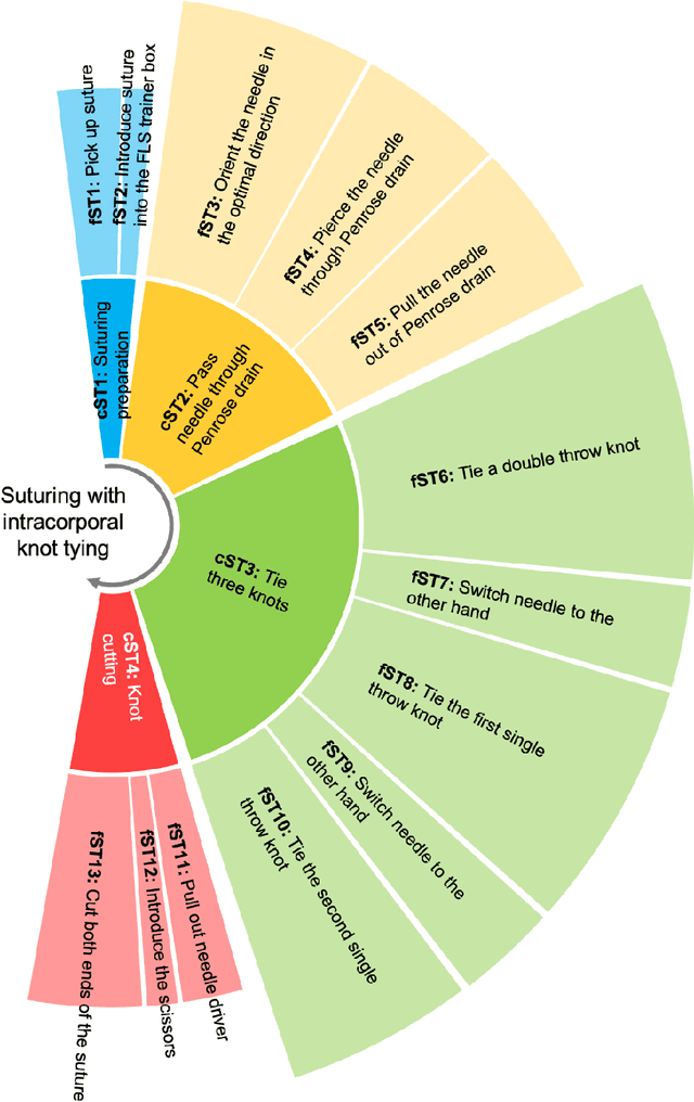 Figure 3 for Dynamic directed functional connectivity as a neural biomarker for objective motor skill assessment