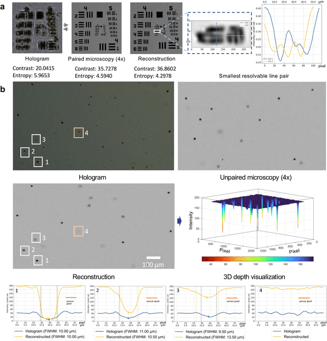 Figure 4 for Generative deep learning-enabled ultra-large field-of-view lens-free imaging