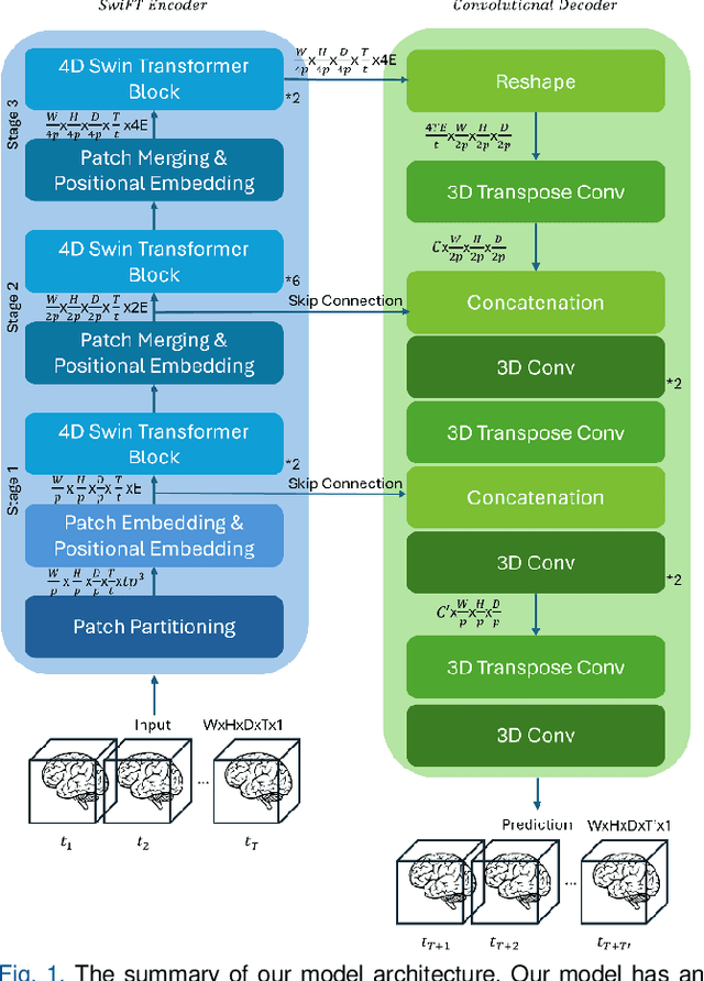 Figure 1 for Voxel-Level Brain States Prediction Using Swin Transformer