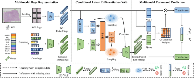 Figure 3 for Robust Multimodal Survival Prediction with the Latent Differentiation Conditional Variational AutoEncoder