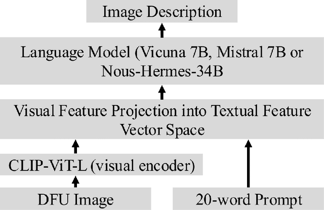 Figure 1 for UlcerGPT: A Multimodal Approach Leveraging Large Language and Vision Models for Diabetic Foot Ulcer Image Transcription
