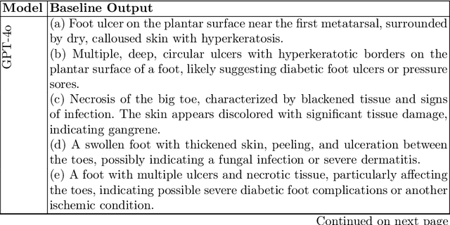 Figure 2 for UlcerGPT: A Multimodal Approach Leveraging Large Language and Vision Models for Diabetic Foot Ulcer Image Transcription