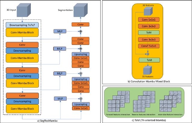 Figure 1 for SegResMamba: An Efficient Architecture for 3D Medical Image Segmentation